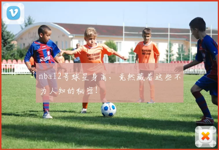 nba12号球星身高，竟然藏着这些不为人知的秘密！