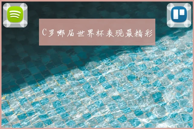 C罗哪届世界杯表现最精彩